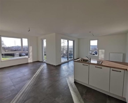 Appartement 3 chambres avec terrasse à Belgrade